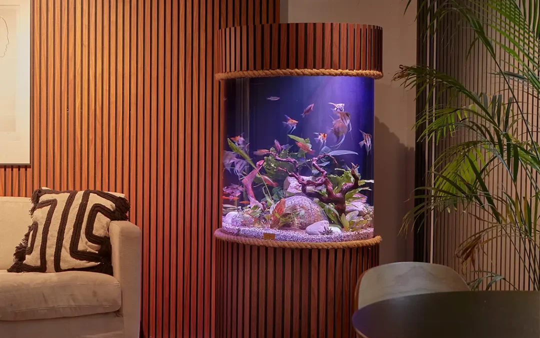 Levande Interiör och Akvarie-Leasing Syd gör gemensam sak.